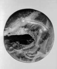 Mykenische Gemme (Lentoid): Ein Löwe (Hals und Kopf nur zum Teil erhalten) steht mit den Hinterbeinen auf einem Wildziegenkopf, zu dem er sich fressend herabbeugt